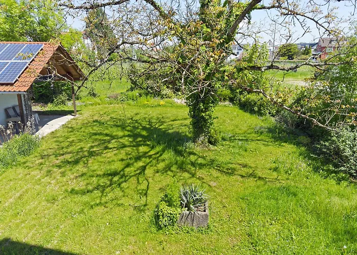 Gierer * Nonnenhorn