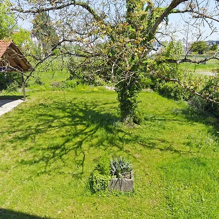 Gierer Apartament *